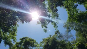 Chuva, calor? Confira a previsão do tempo para fevereiro com La Niña