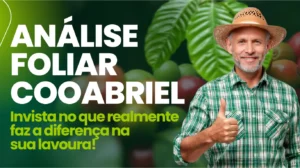 Análise foliar: diagnóstico é capaz de aumentar a produtividade nas lavouras