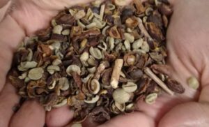Três marcas de café torrado são proibidas para consumo