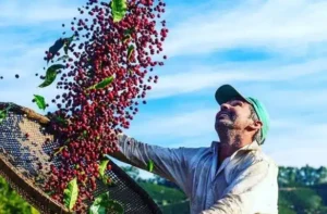 Sustentabilidade, inovação e logística: os caminhos do agro capixaba