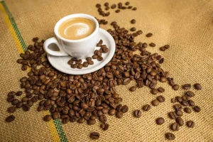 Concurso vai premiar melhores cafés arábica das montanhas do ES