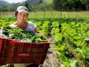 Dia Internacional das Mulheres Rurais: elas transformam o campo e inspiram o futuro da agricultura capixaba