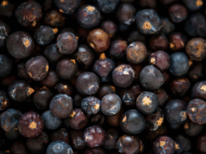 Resíduos do açaí são transformados em café, carvão e biofertilizante