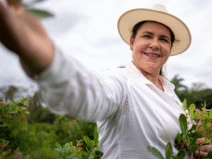 Produtora capixaba transforma fazenda em referência com pimenta-rosa de São Mateus