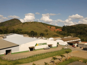 Maior cooperativa capixaba, Cooabriel aposta em gestão e planejamento para sustentar crescimento