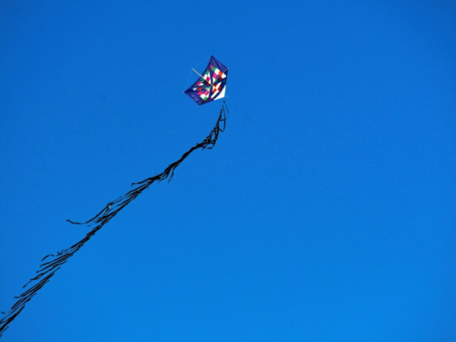 Ocorrências com pipas na rede elétrica das cidades atendidas pela EDP no Sul do ES aumentaram 27,3% em 2025