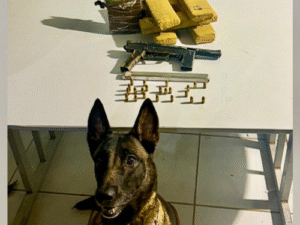 Batalhão de Ações com Cães realiza apreensão durante Operação Verão em São Mateus