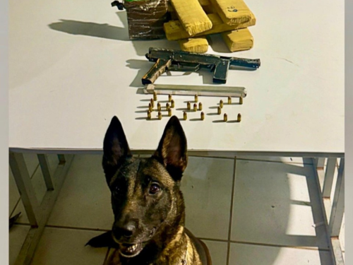Batalhão de Ações com Cães realiza apreensão durante Operação Verão em São Mateus
