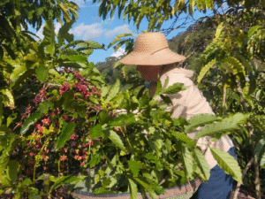 O crescimento do protagonismo feminino no setor agro